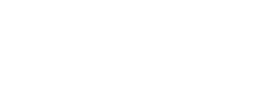 Prime Auto Union